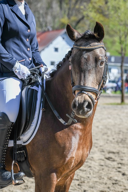 心理素质将 心理素质将