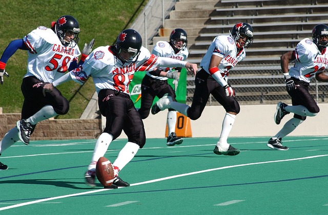 的羽毛球青 的羽毛球青