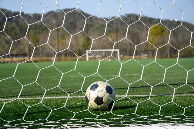 重要贡献 重要贡献