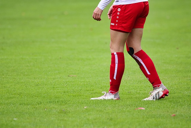 强的统治力 强的统治力