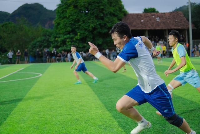 我的平台 我的平台