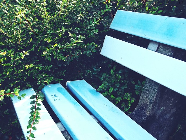 和科学的人 和科学的人